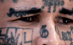 LA MARQUE DES BANNIS