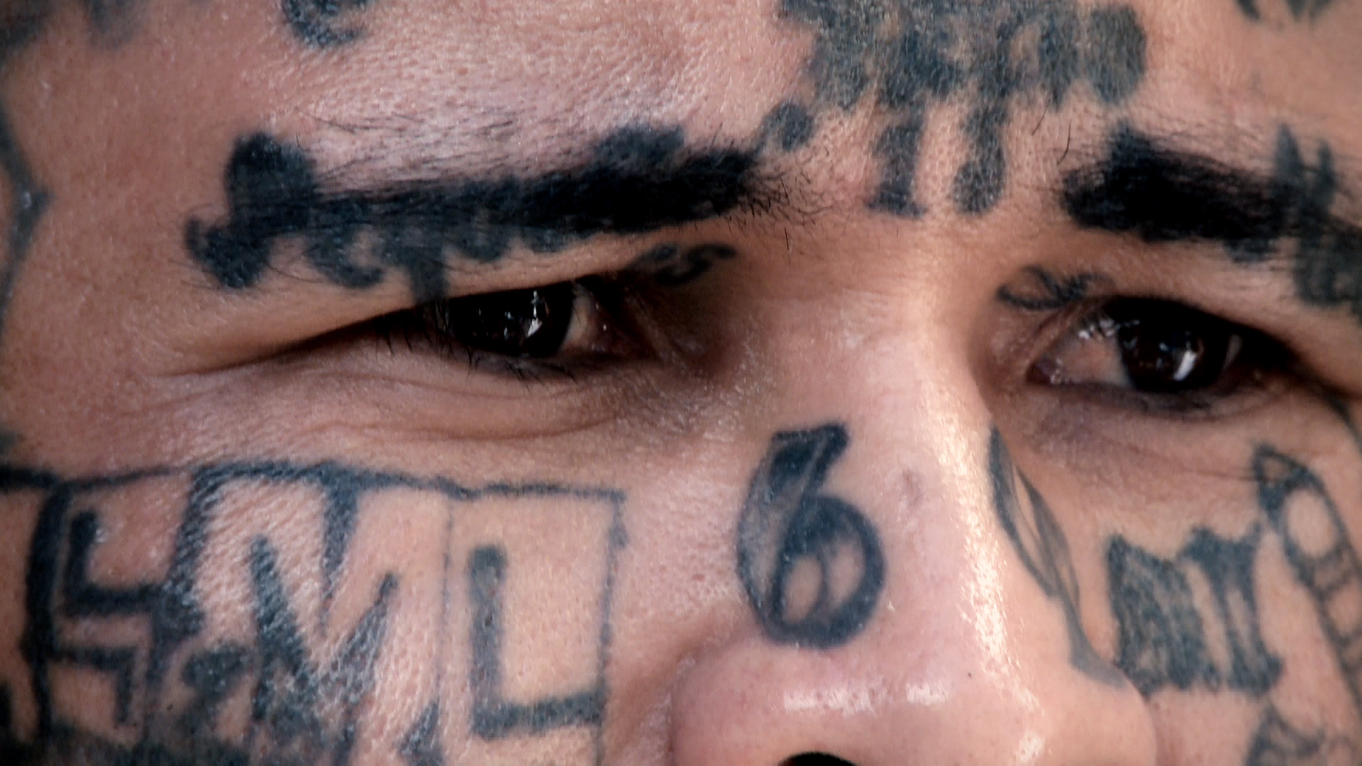 LA MARQUE DES BANNIS