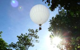 LE SCIENTIFIQUE DE LA JUNGLE