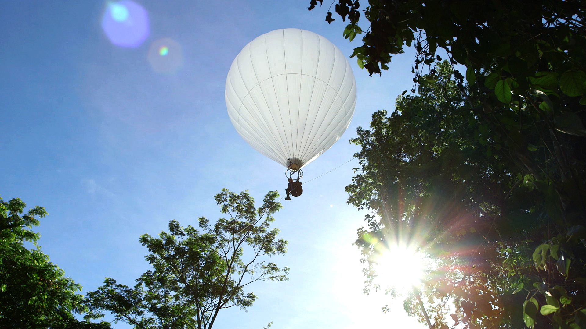 LE SCIENTIFIQUE DE LA JUNGLE