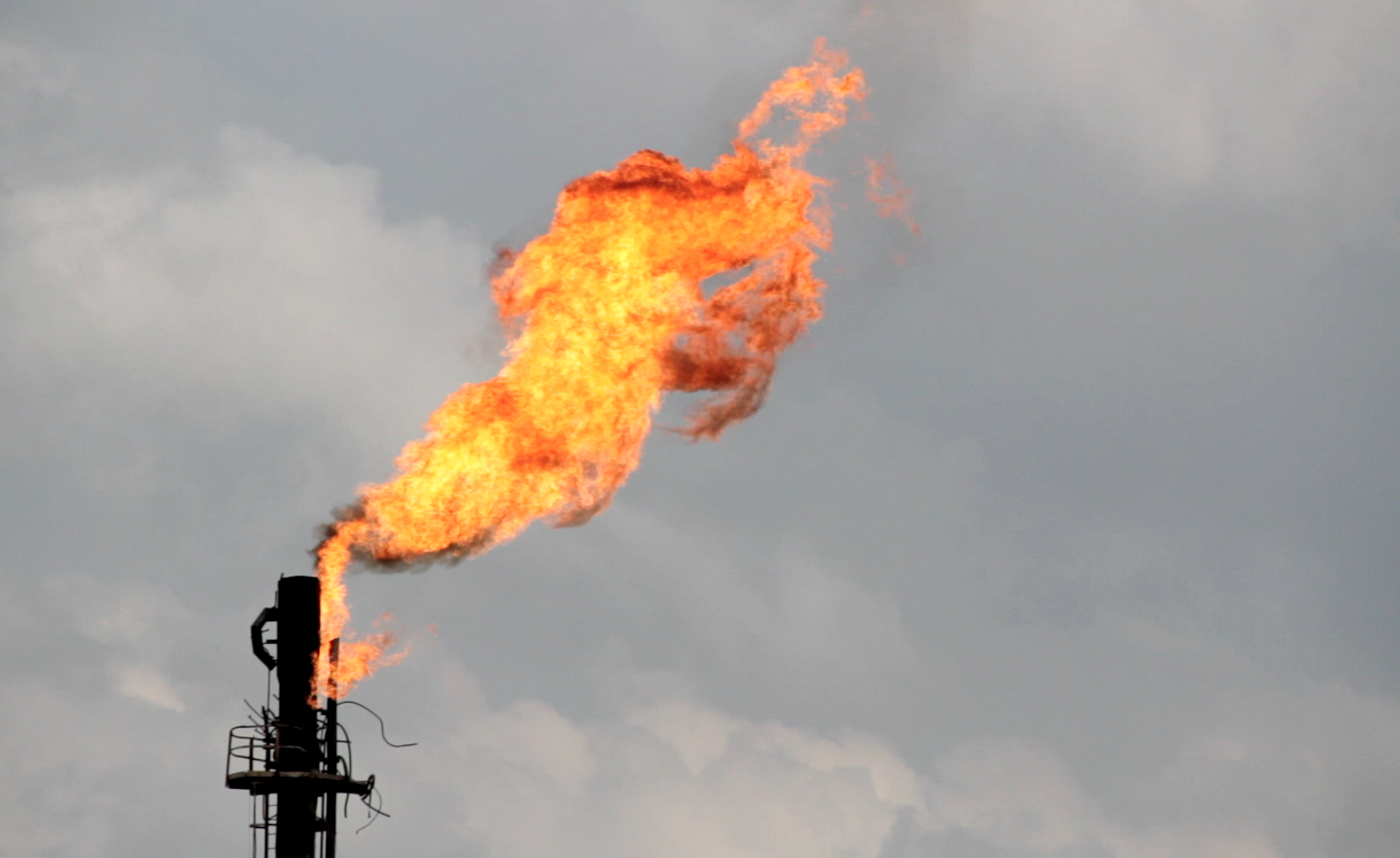 LA MALEDICTION DE L'OR NOIR