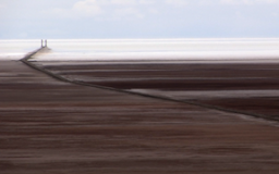 AU PAYS DE L'OR GRIS