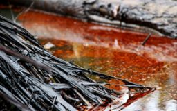 L'ETERNELLE MAREE NOIRE