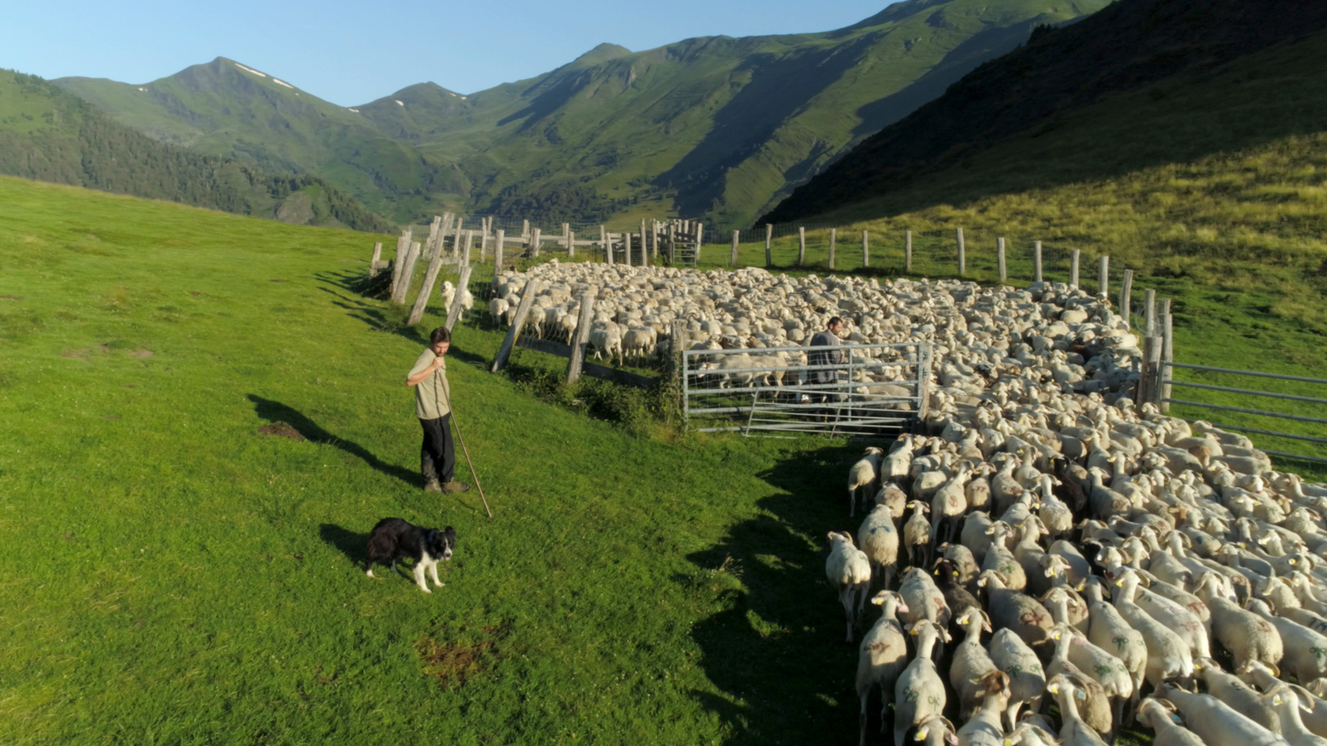 DES OURS ET DES HOMMES