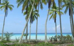 TAHITI, L'INVENTION DU PARADIS