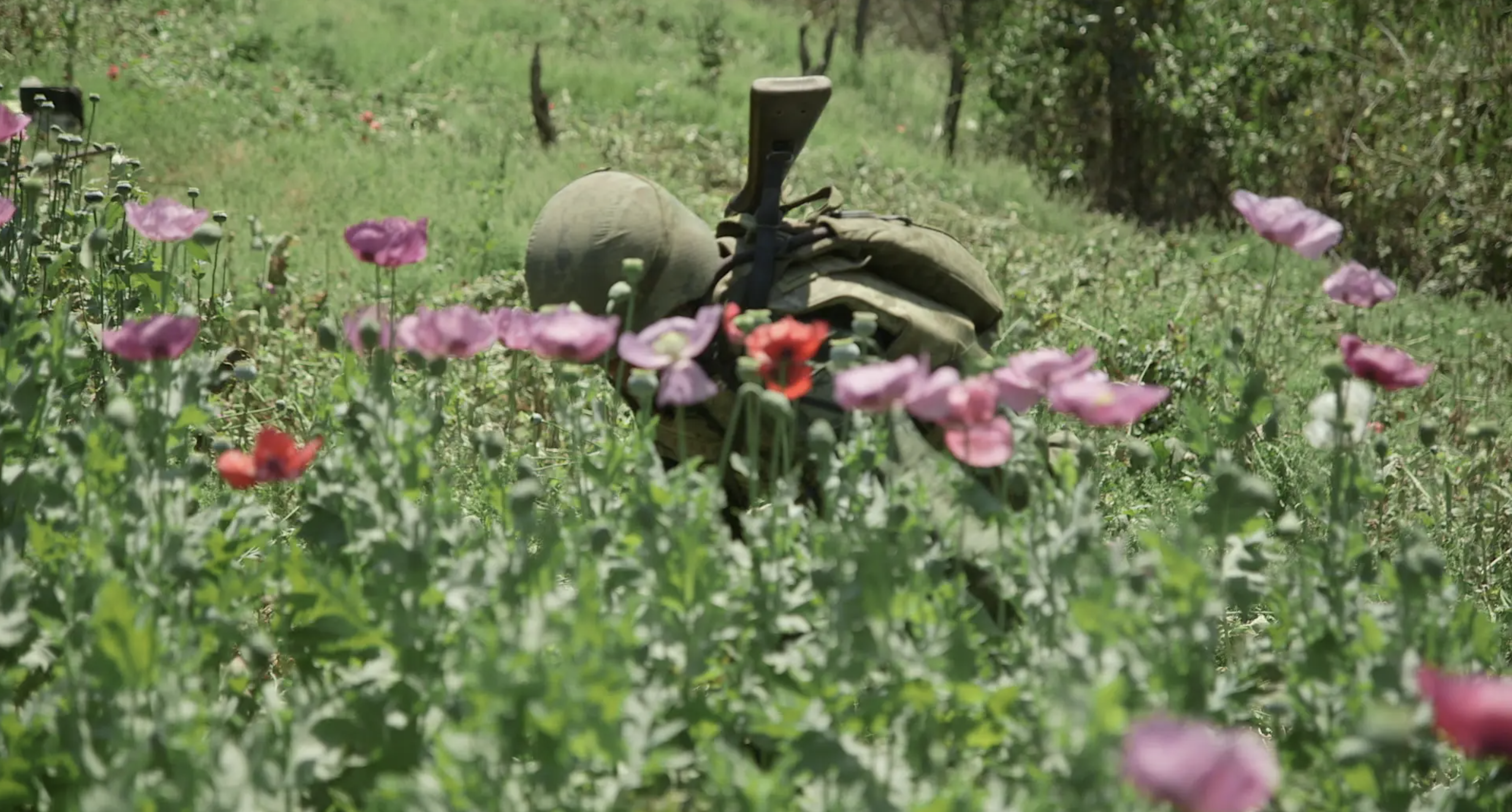 LA GUERRE DE L'OPIUM