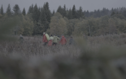 FAUT PAS RÊVER : LES ROBINSONS DE LA FORÊT