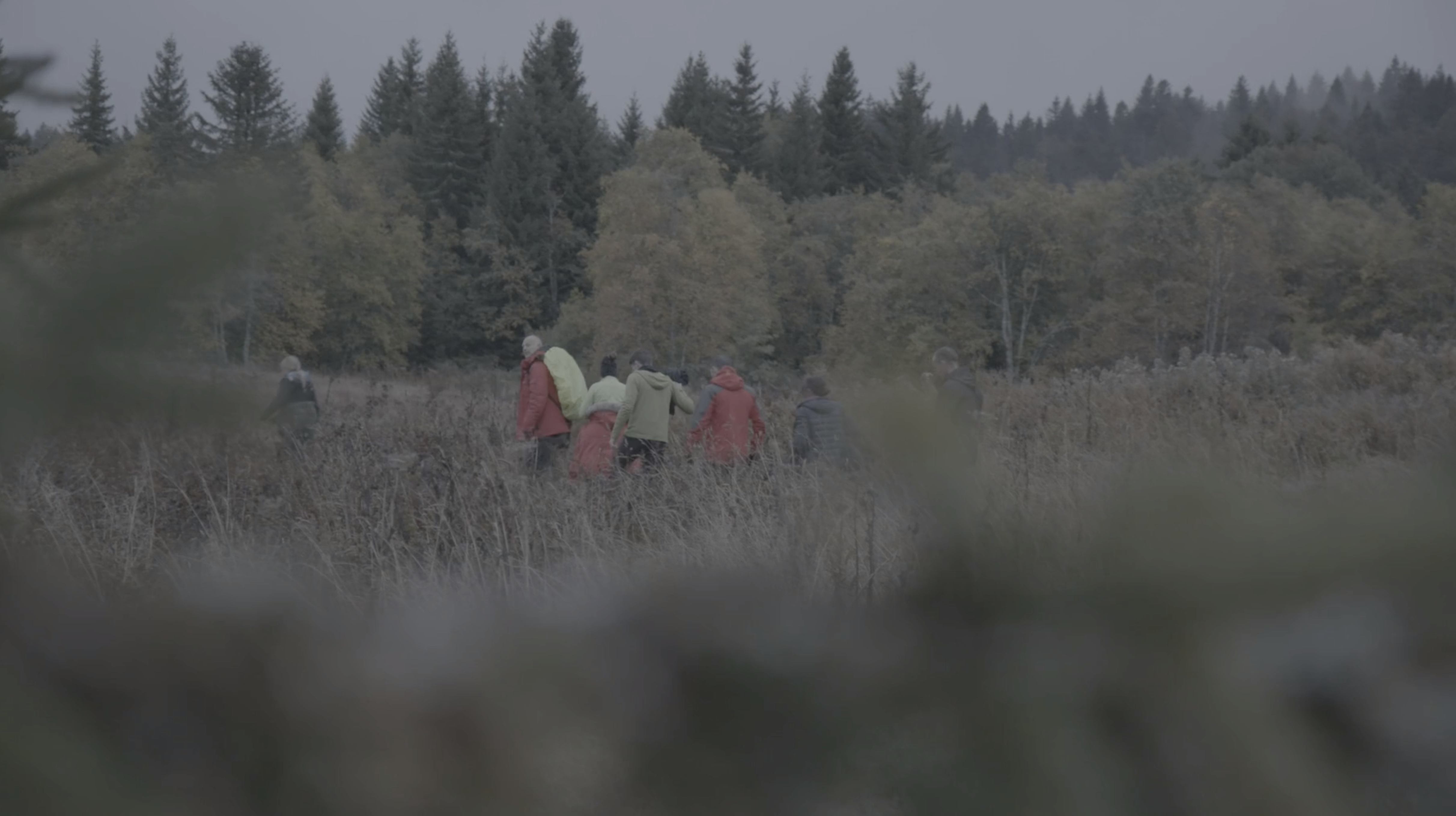 FAUT PAS RÊVER : LES ROBINSONS DE LA FORÊT