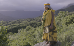 AUX RACINES D'HAWAII