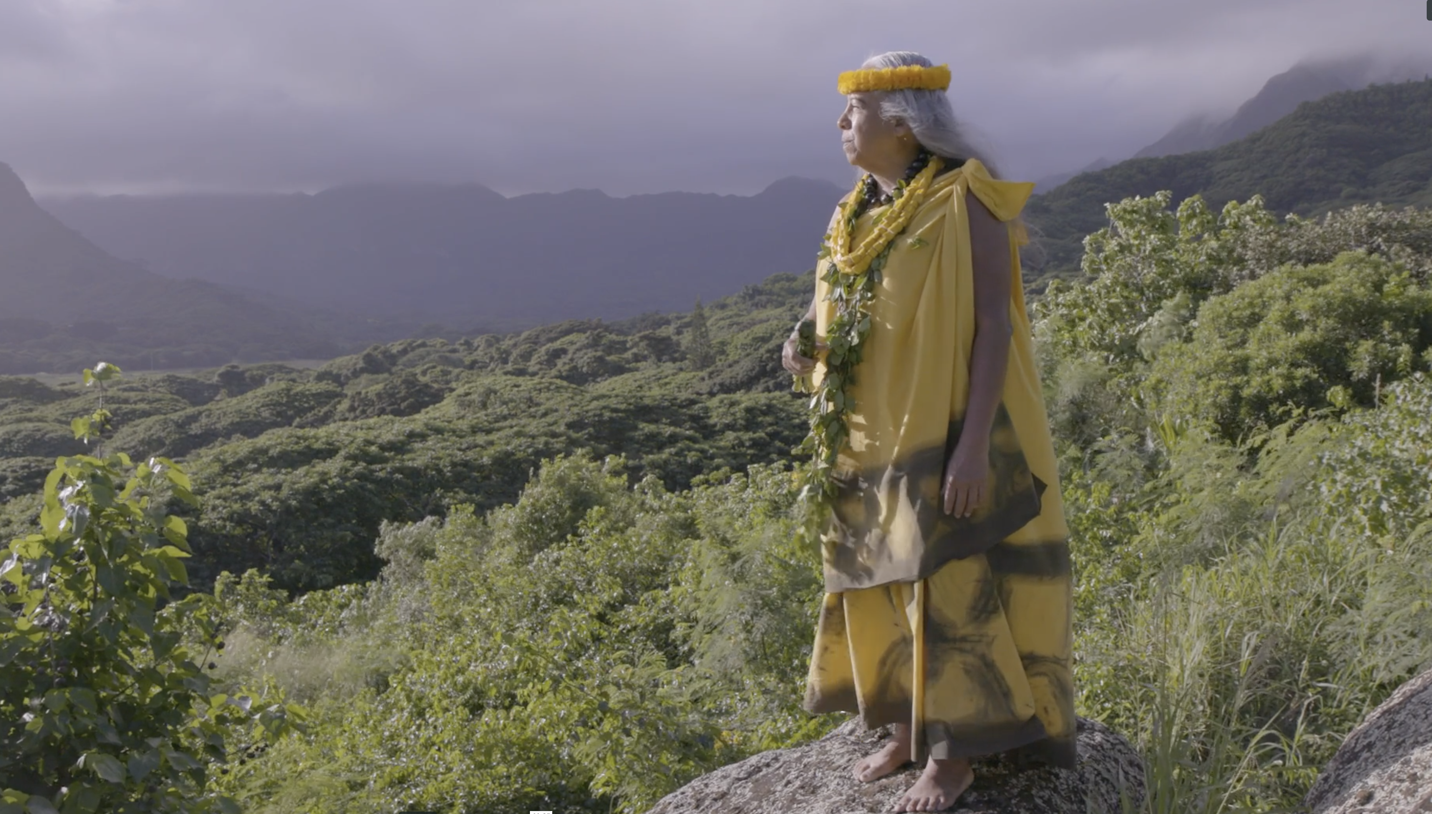 AUX RACINES D'HAWAII